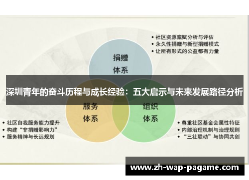 深圳青年的奋斗历程与成长经验：五大启示与未来发展路径分析