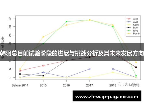 韩羽总目前试验阶段的进展与挑战分析及其未来发展方向