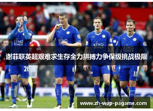 谢菲联英超艰难求生存全力拼搏力争保级挑战极限
